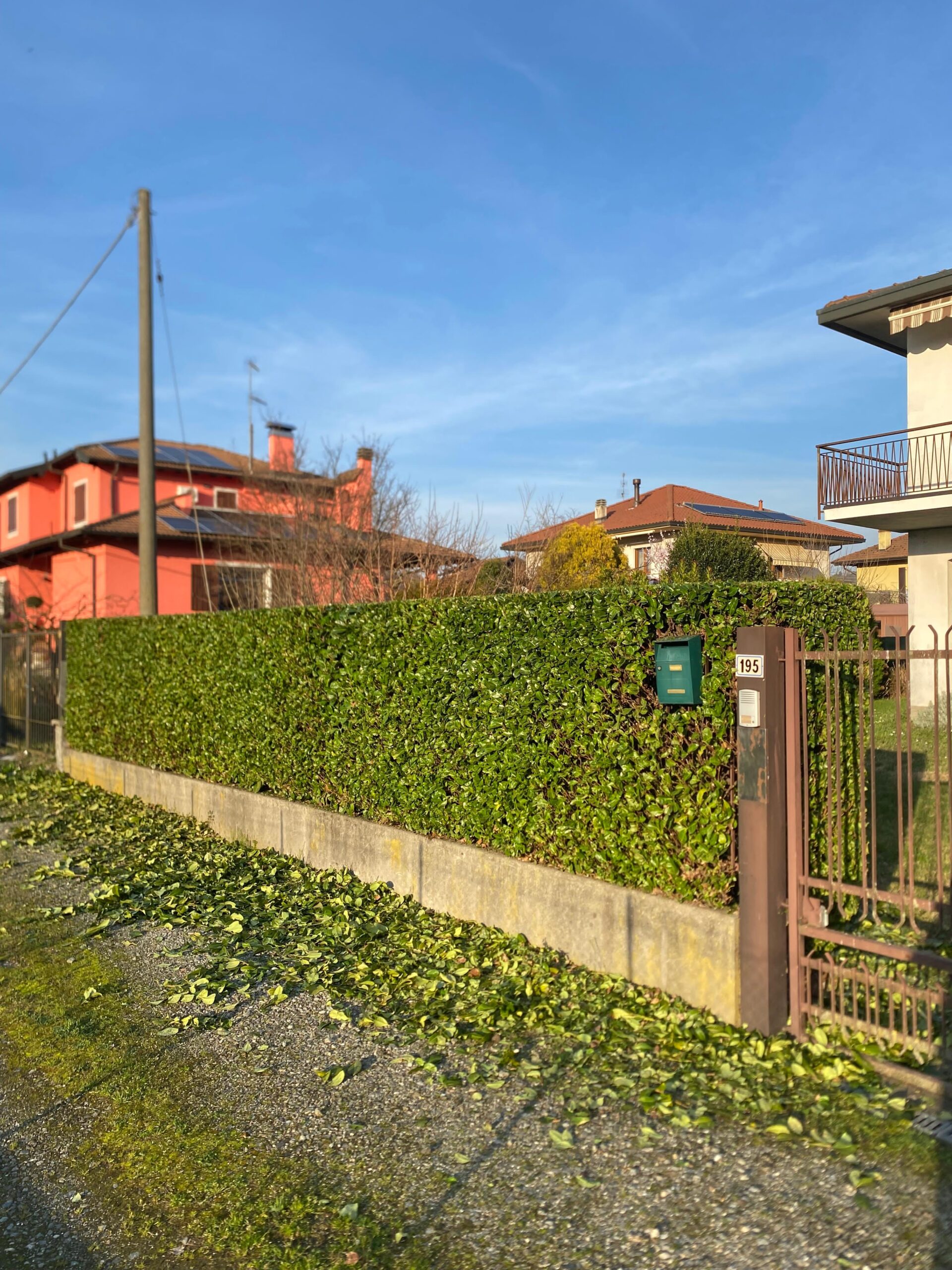 WhatsApp Image 2025-05-22 at 13.24.45 (1)