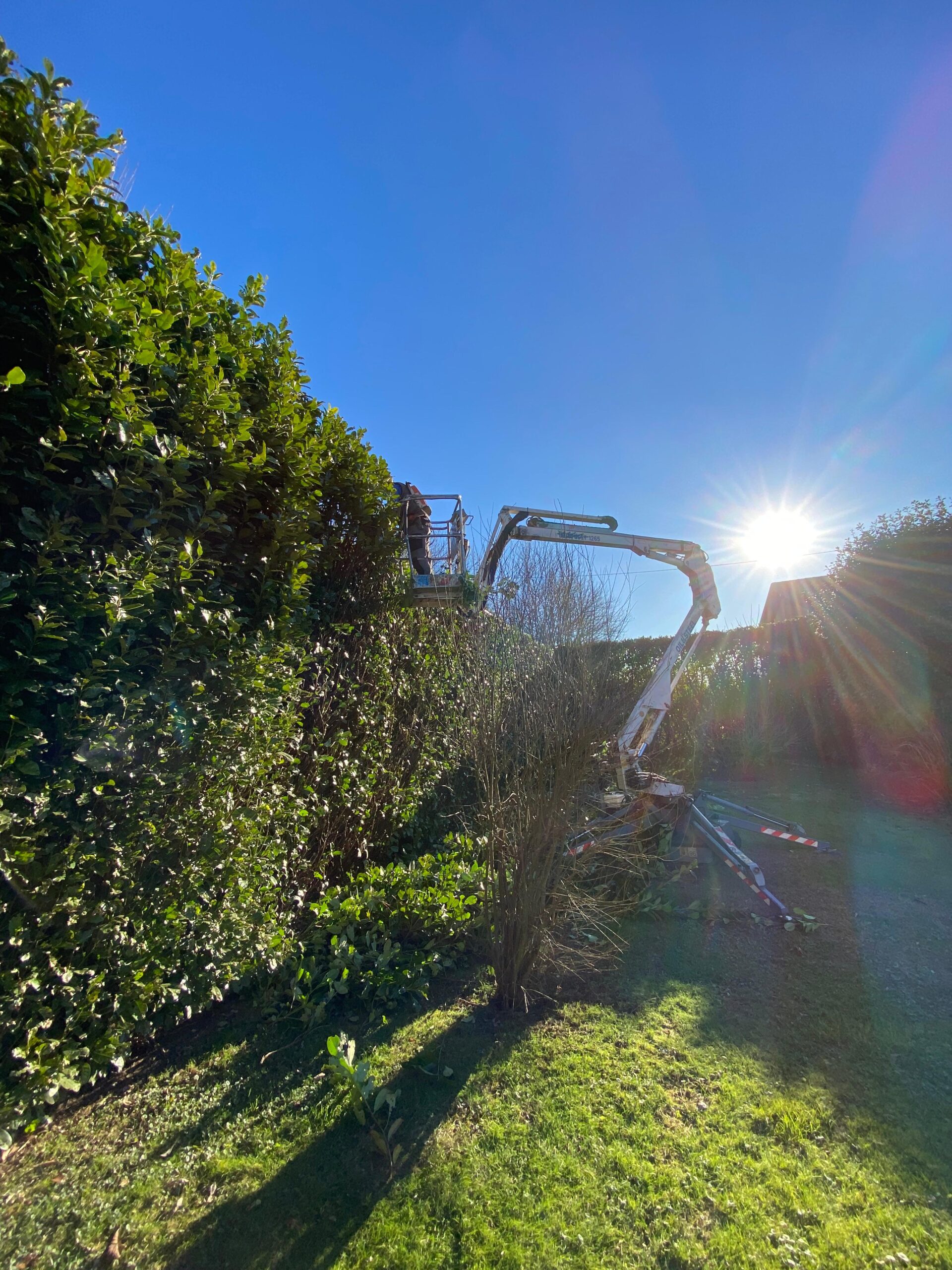 WhatsApp Image 2025-05-22 at 13.24.46 (3)