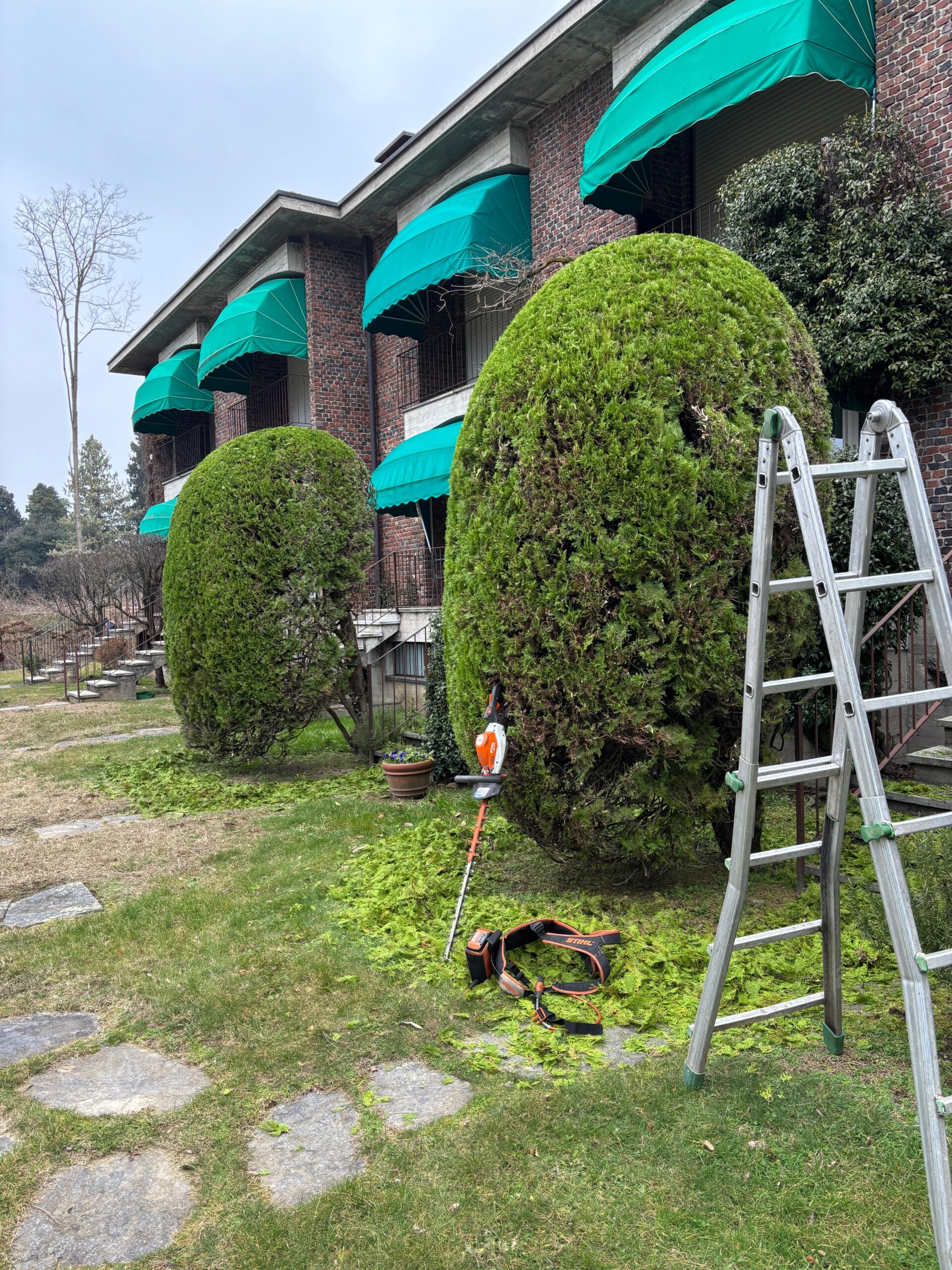 WhatsApp Image 2025-05-22 at 13.24.46 (4)